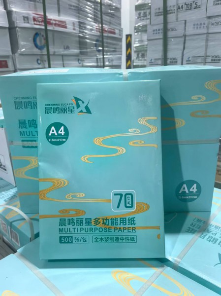 靜電復(fù)印紙2